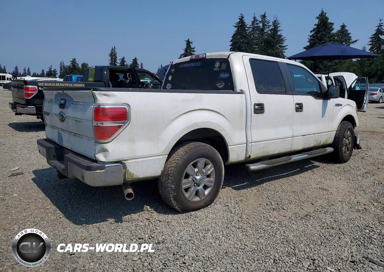 2009 Ford F150 Supercrew VIN:1FTRW12839KC79069 - 3