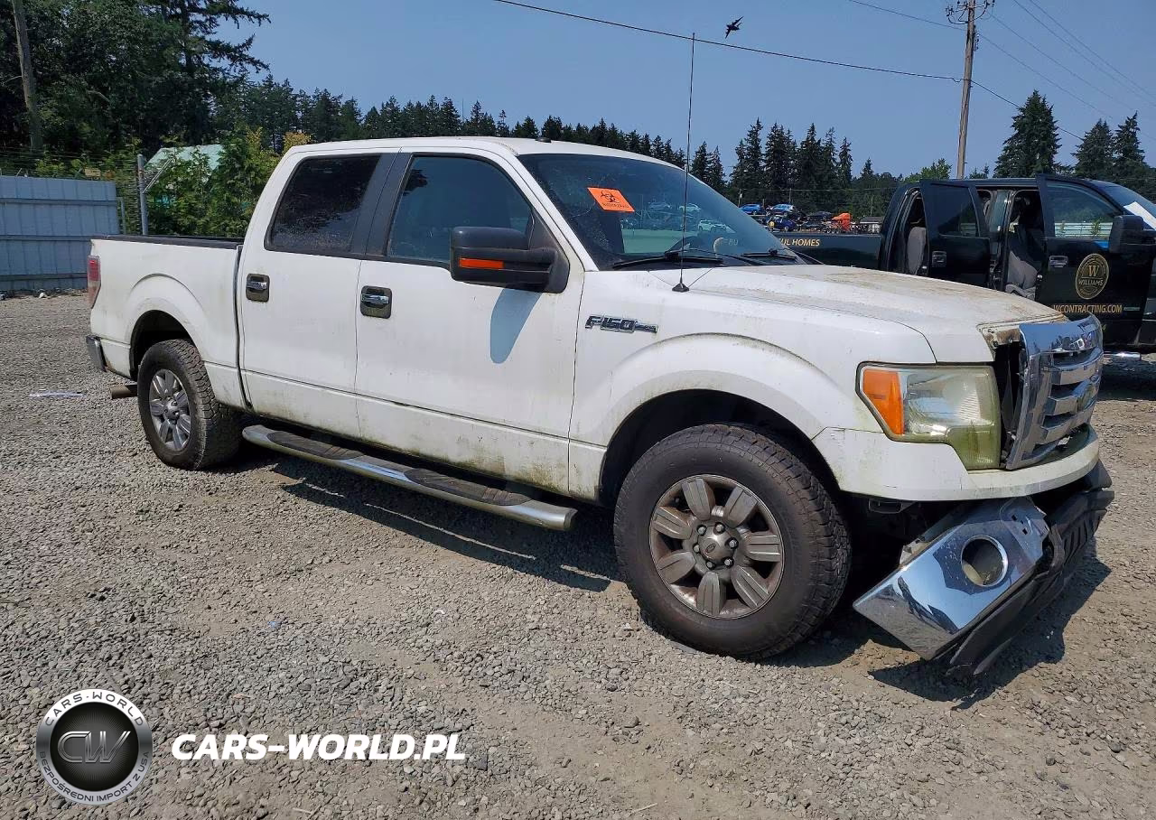 2009 Ford F150 Supercrew VIN:1FTRW12839KC79069 - 4