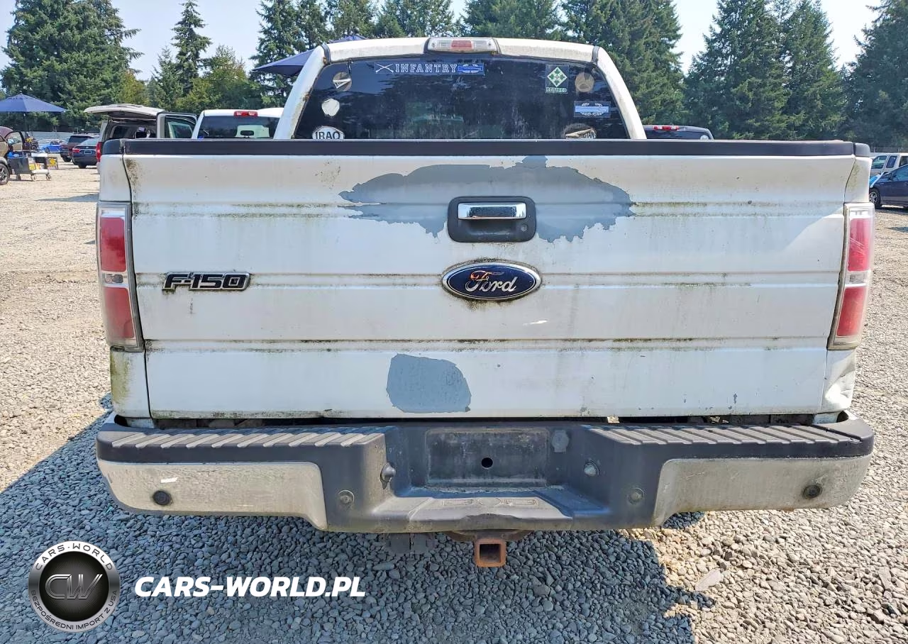 2009 Ford F150 Supercrew VIN:1FTRW12839KC79069 - 6