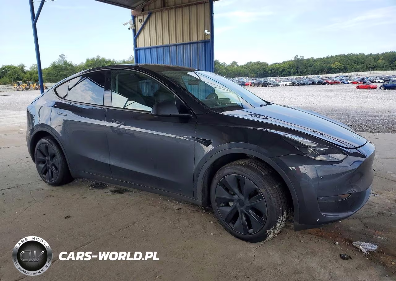 2024 Tesla Model Y VIN:7SAYGDED2RA327662 - 4