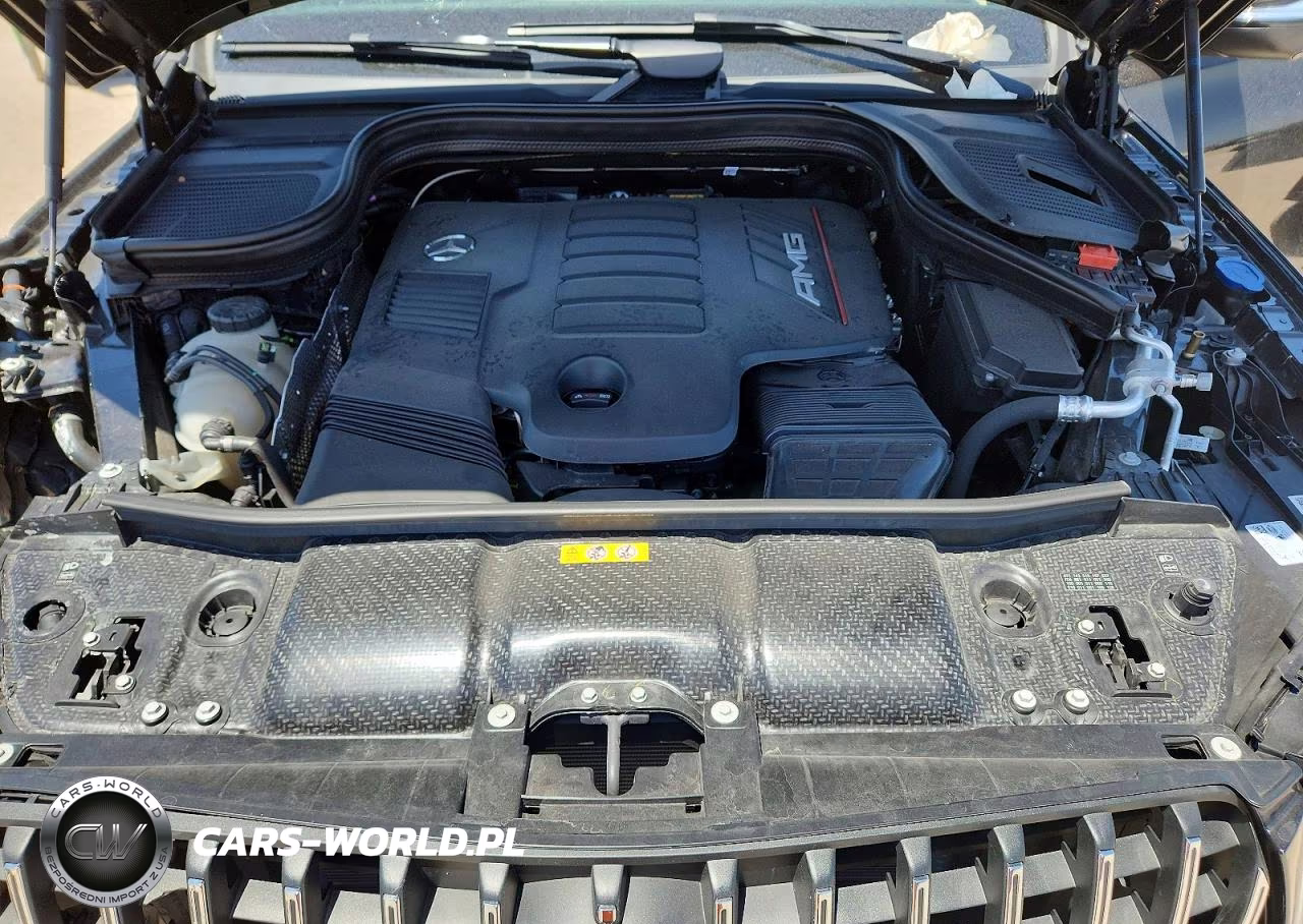 2025 Mercedes-Benz Gle Coupe Amg 53 4Matic VIN:4JGFD6BB1SB426492 - 12