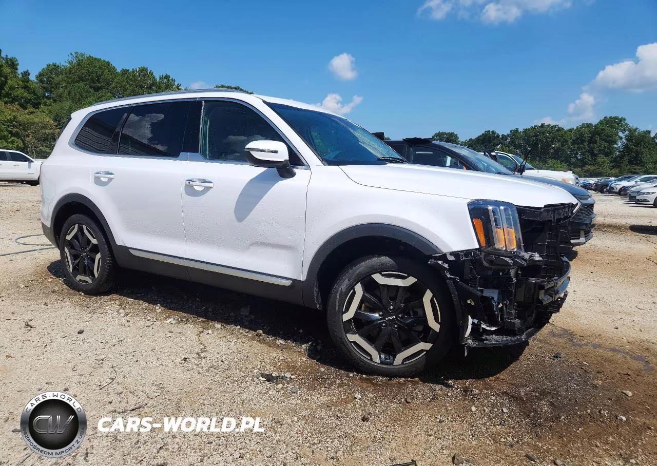 2025 Kia Telluride S VIN:5XYP6DGC8SG589350 - 4
