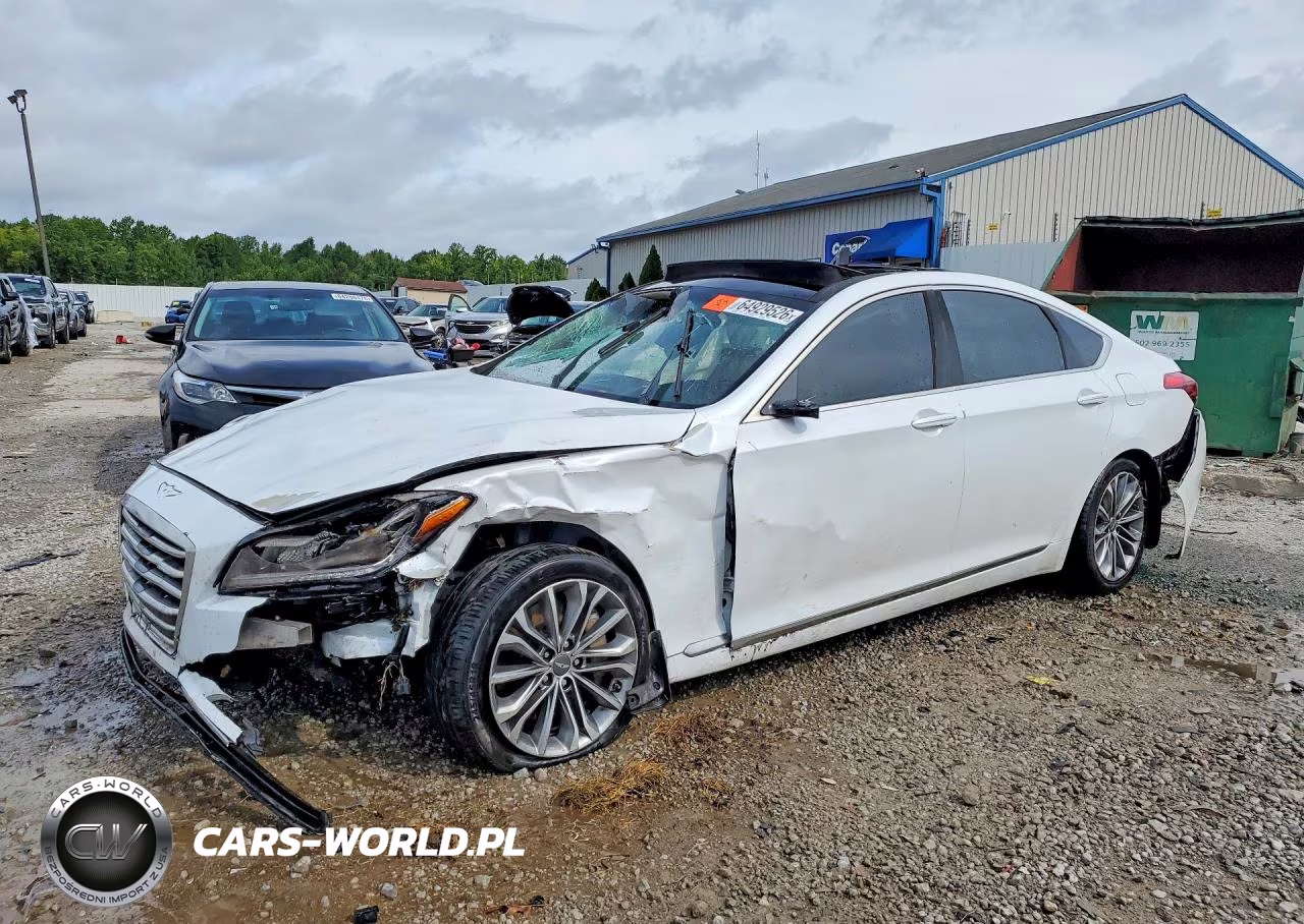 2016 Hyundai Genesis 3.8L VIN:KMHGN4JE5GU128296 - 1