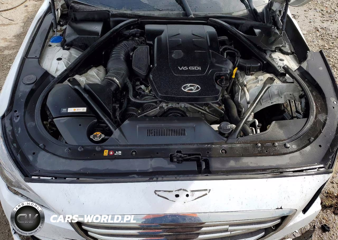 2016 Hyundai Genesis 3.8L VIN:KMHGN4JE5GU128296 - 11