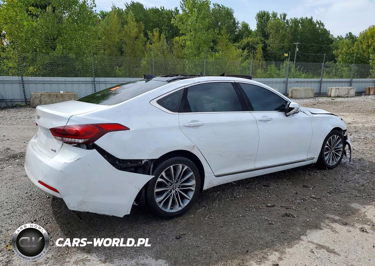 2016 Hyundai Genesis 3.8L VIN:KMHGN4JE5GU128296 - 3