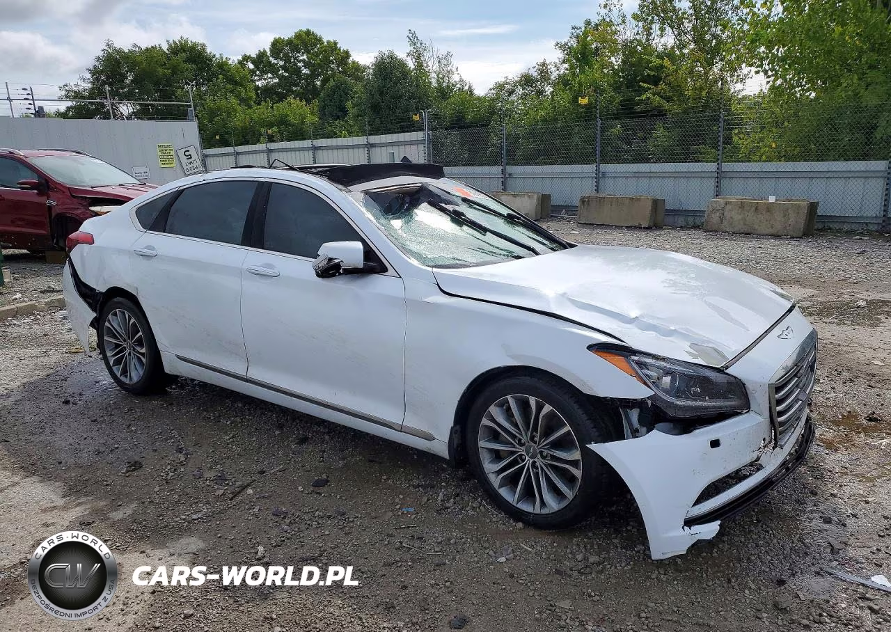 2016 Hyundai Genesis 3.8L VIN:KMHGN4JE5GU128296 - 4