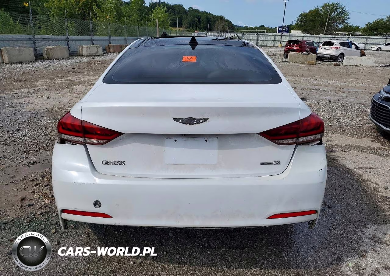 2016 Hyundai Genesis 3.8L VIN:KMHGN4JE5GU128296 - 6