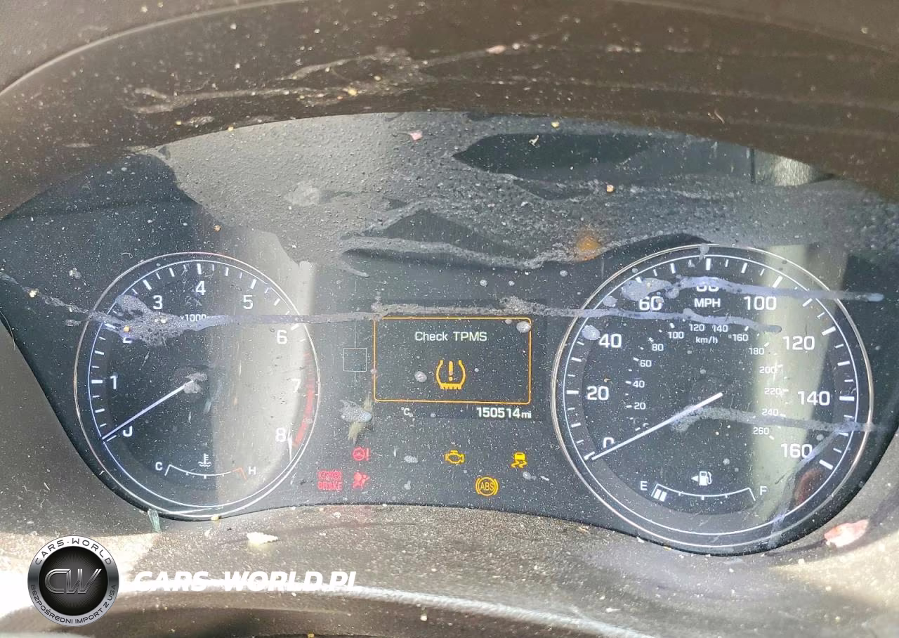 2016 Hyundai Genesis 3.8L VIN:KMHGN4JE5GU128296 - 9