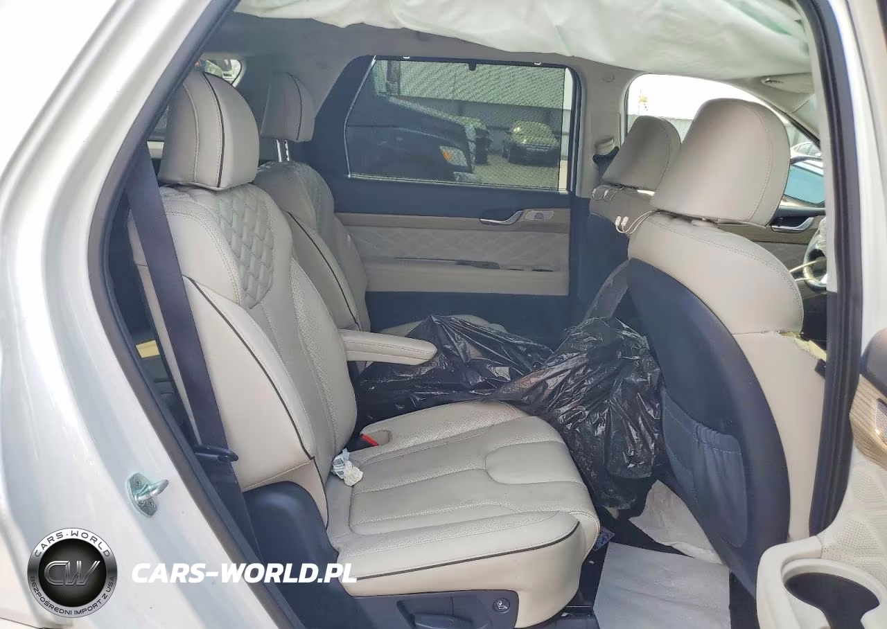 2016 Hyundai Palisade VIN:KM8R5DHEXNU474484 - 11