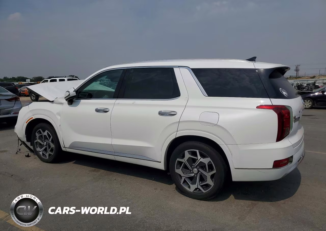 2016 Hyundai Palisade VIN:KM8R5DHEXNU474484 - 2