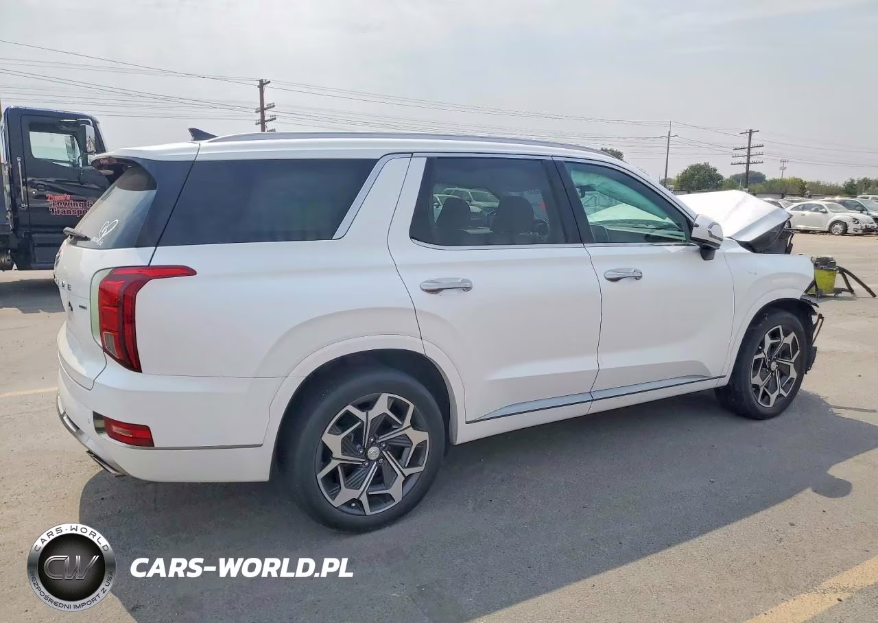 2016 Hyundai Palisade VIN:KM8R5DHEXNU474484 - 3