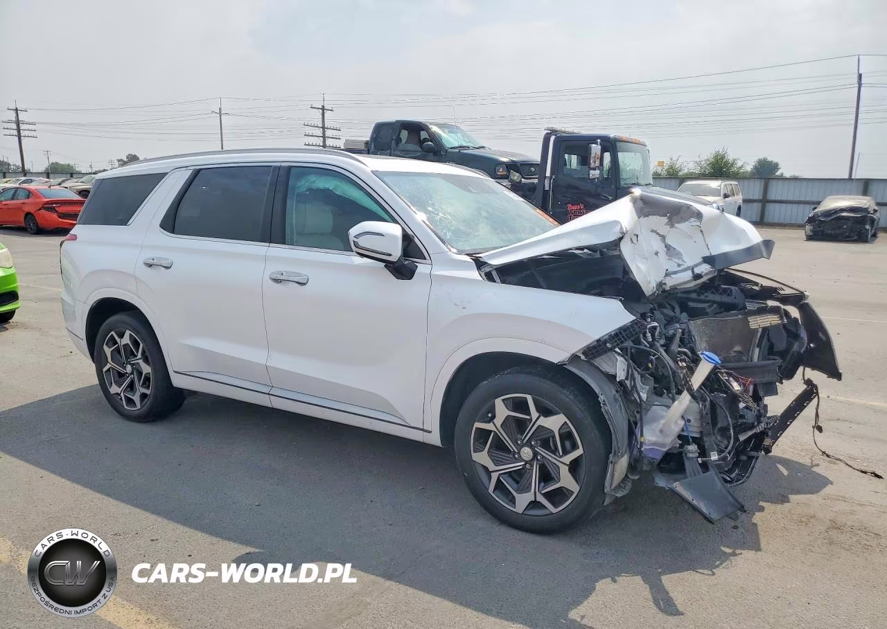 2016 Hyundai Palisade VIN:KM8R5DHEXNU474484 - 4