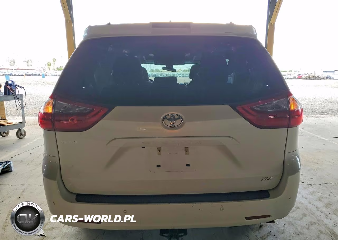 2020 Toyota Sienna Xle Premium 8-Passenger VIN:5TDYZ3DC0LS055080 - 6