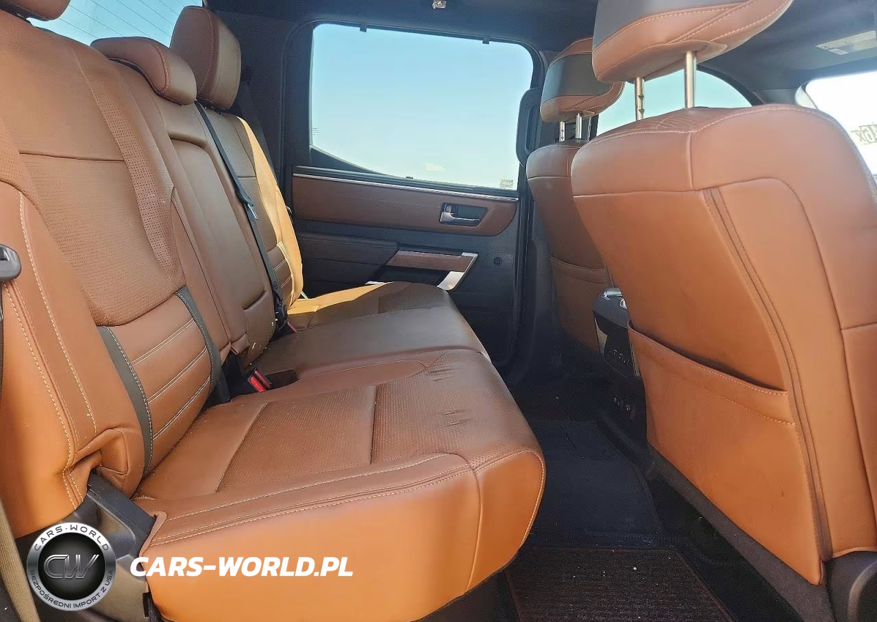 2023 Toyota Tundra 1794 Edition VIN:5TFMA5DB9PX120193 - 10