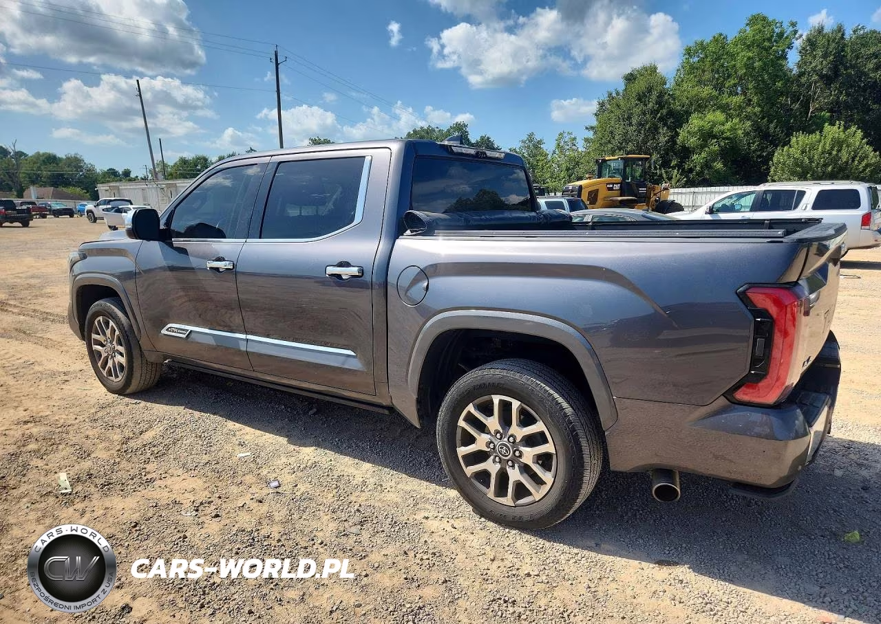 2023 Toyota Tundra 1794 Edition VIN:5TFMA5DB9PX120193 - 2