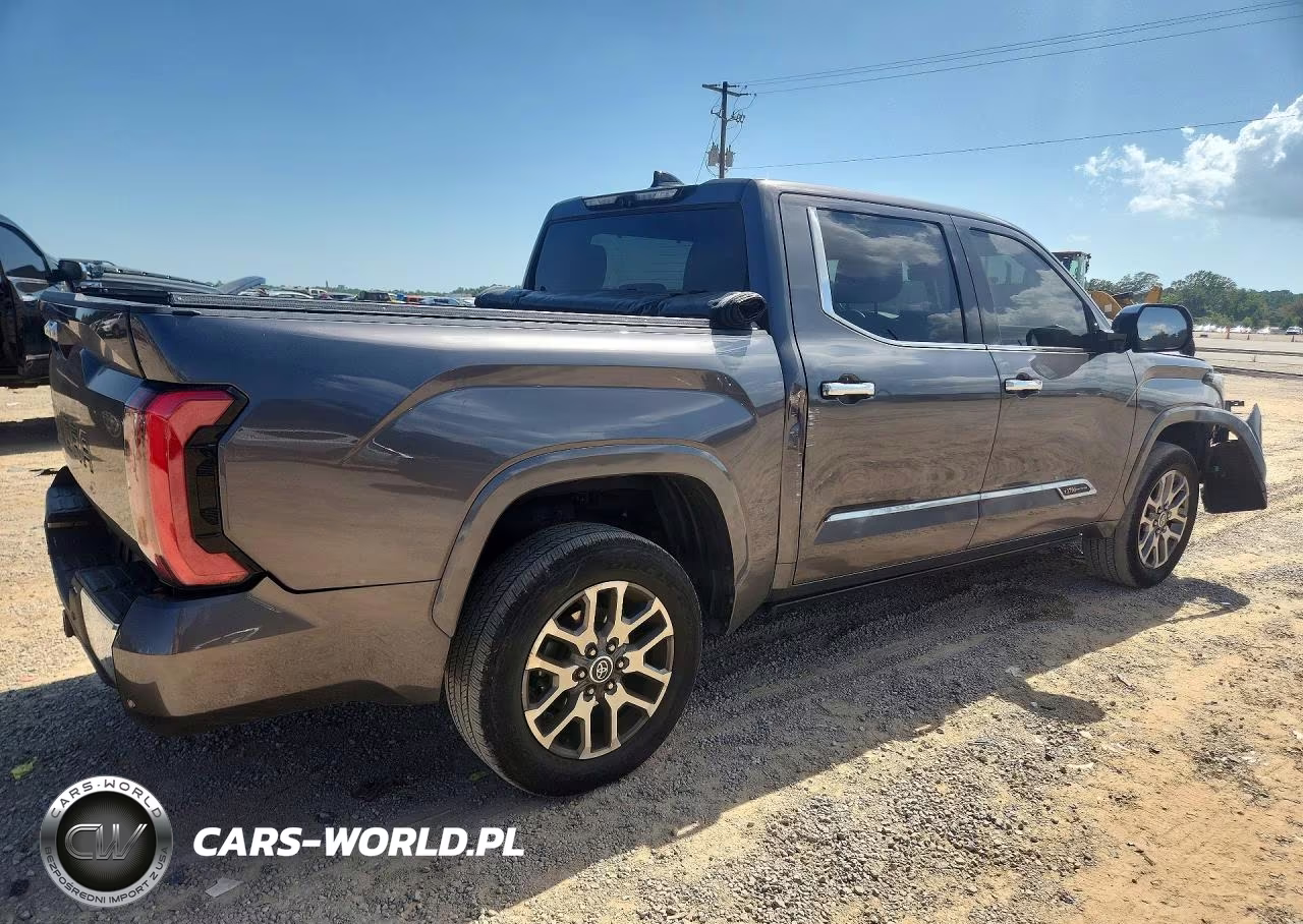2023 Toyota Tundra 1794 Edition VIN:5TFMA5DB9PX120193 - 3