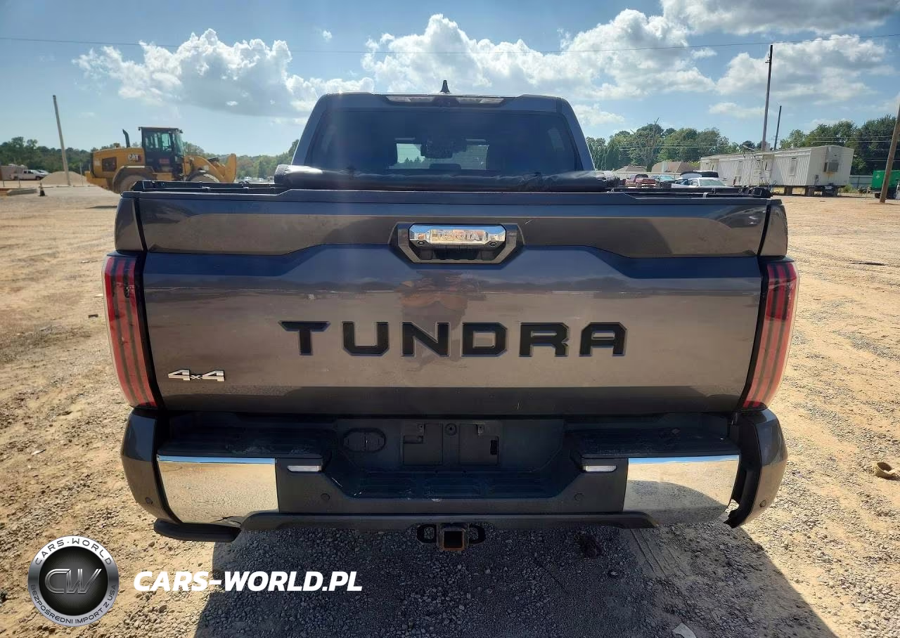 2023 Toyota Tundra 1794 Edition VIN:5TFMA5DB9PX120193 - 6