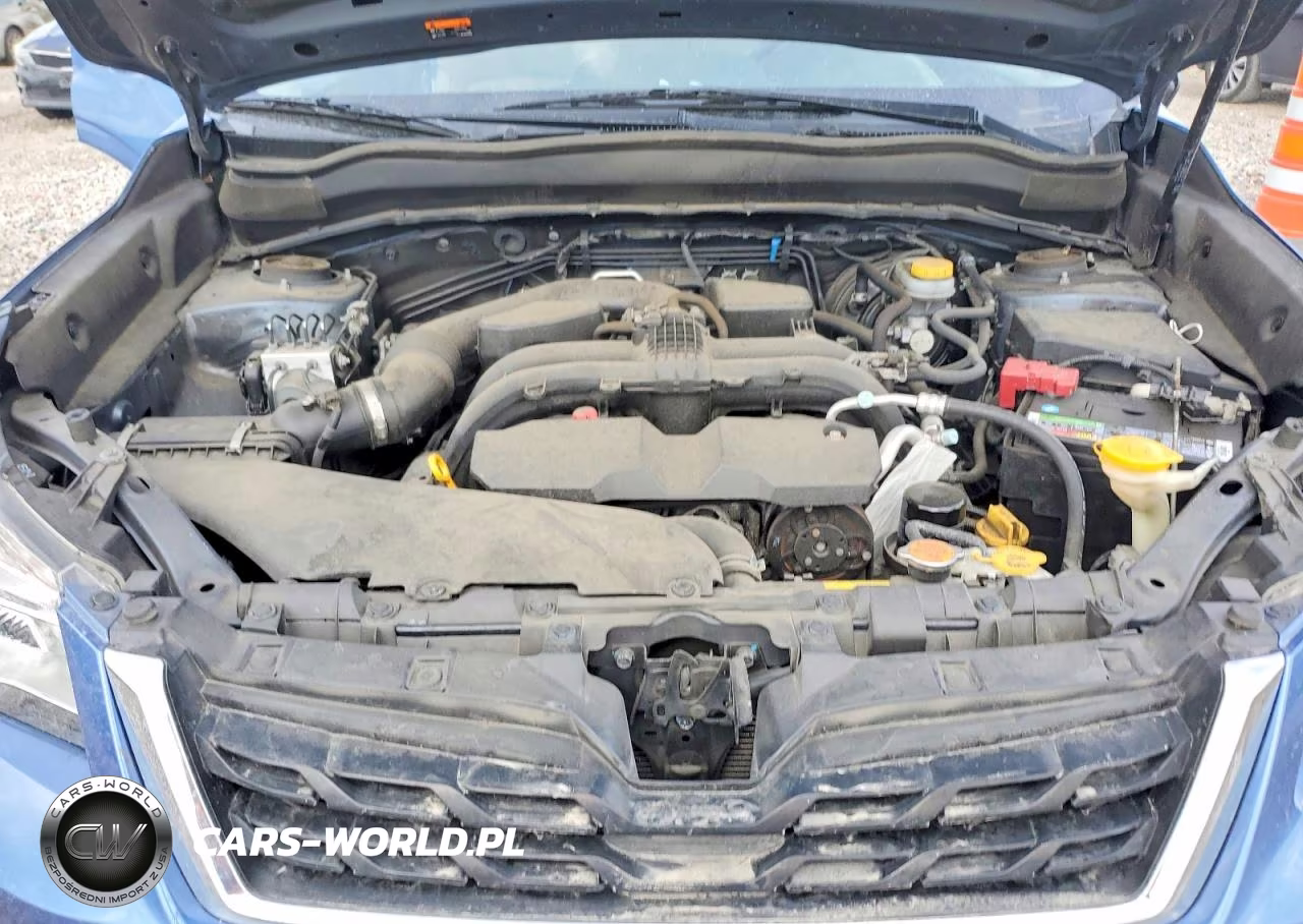 2018 Subaru Forester 2.5I VIN:JF2SJABC5JH469219 - 11