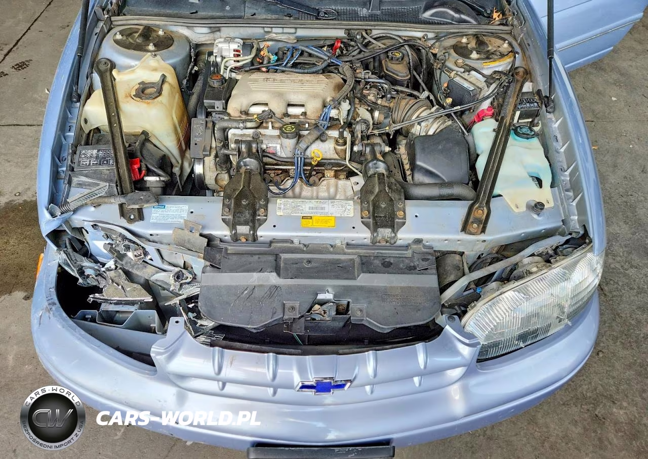1996 Chevrolet Lumina VIN:2G1WL52M7T1196163 - 11