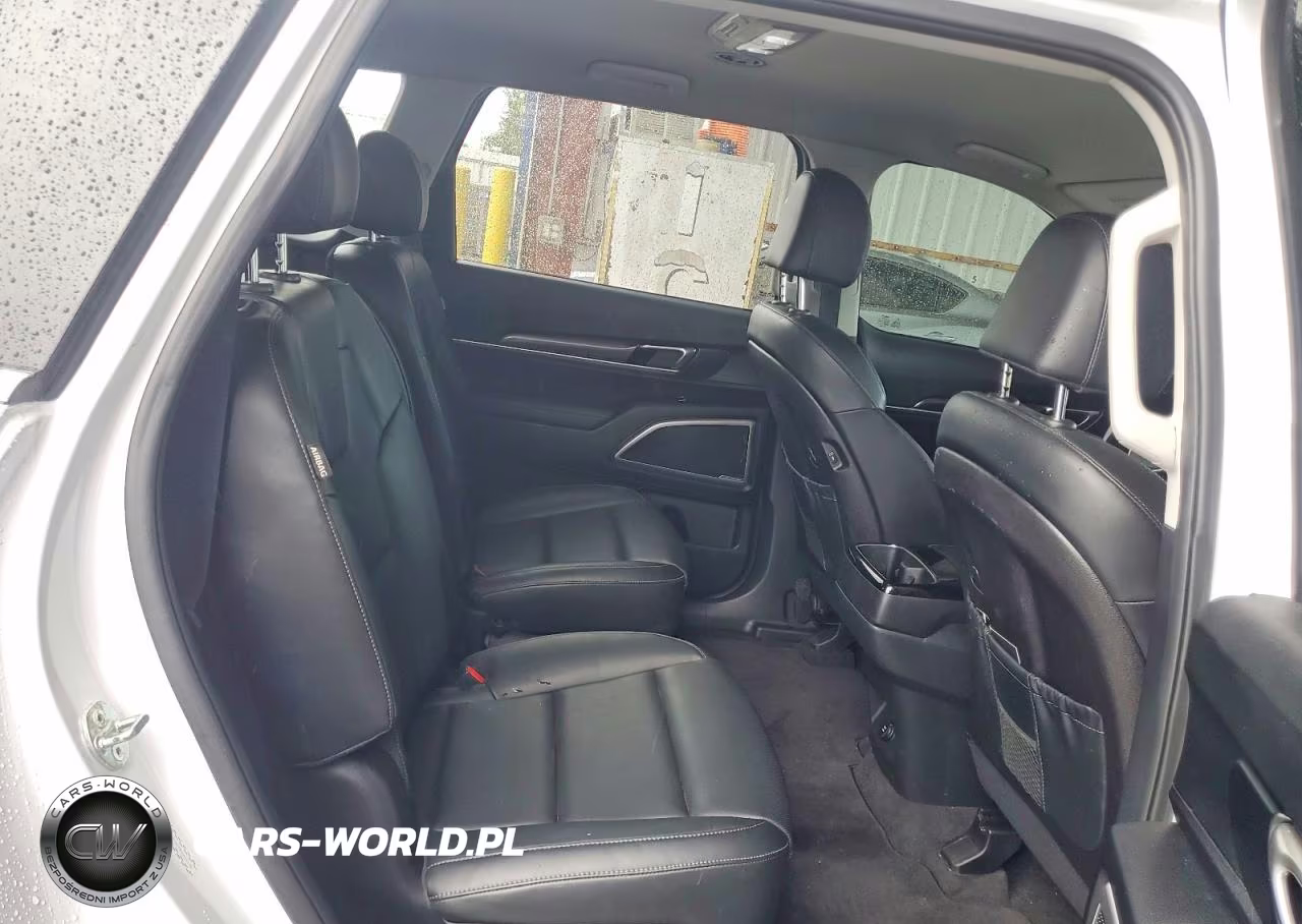 KIA TELLURIDE VIN:5XYP2DGC0RG461190 - 11