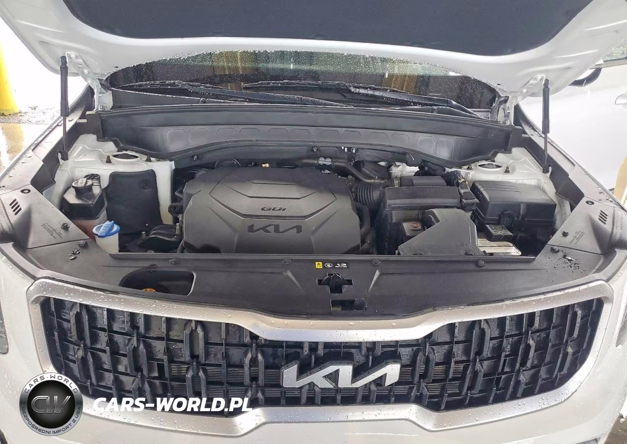 KIA TELLURIDE VIN:5XYP2DGC0RG461190 - 12