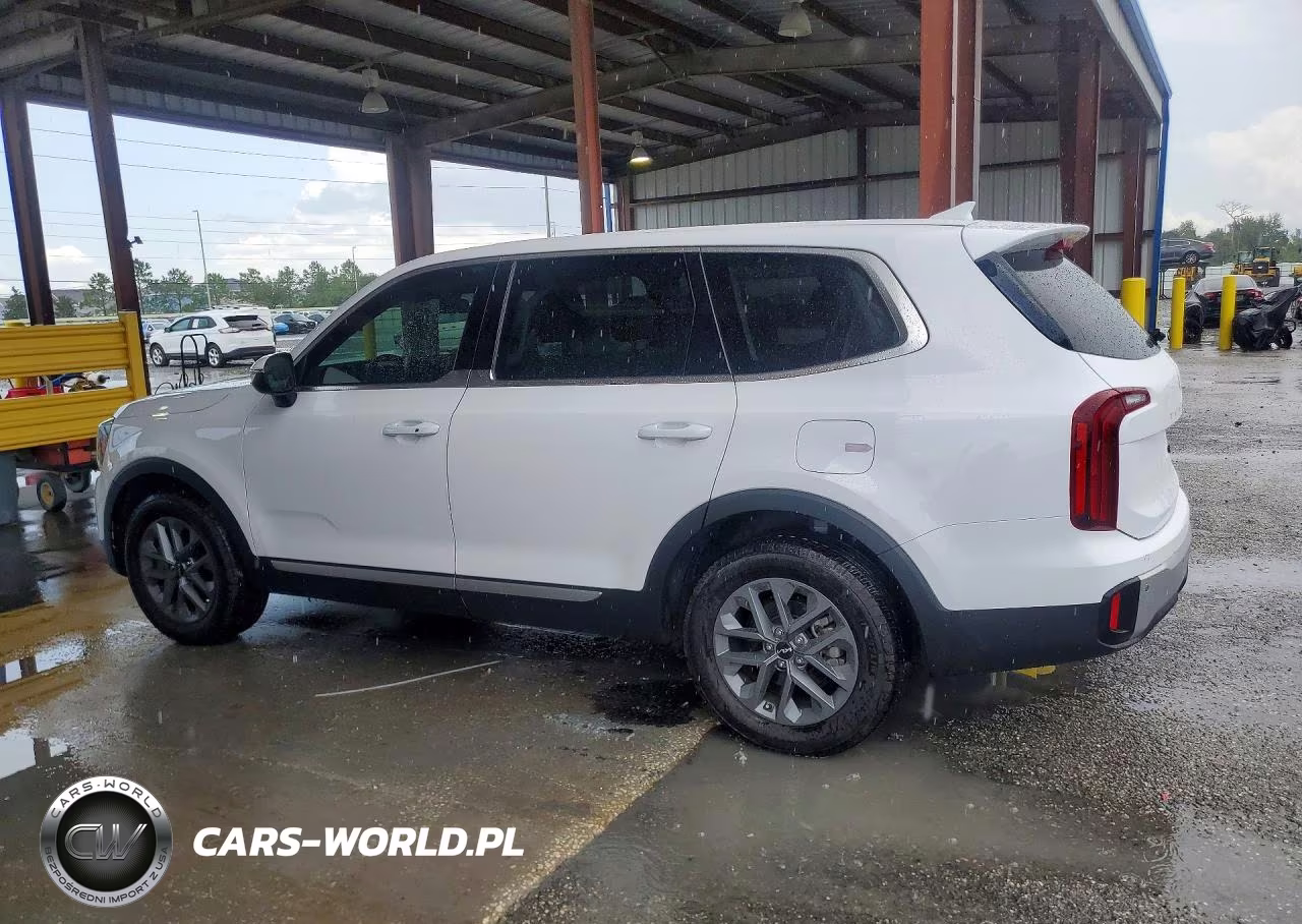KIA TELLURIDE VIN:5XYP2DGC0RG461190 - 2