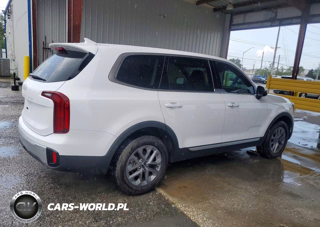 KIA TELLURIDE VIN:5XYP2DGC0RG461190 - 3