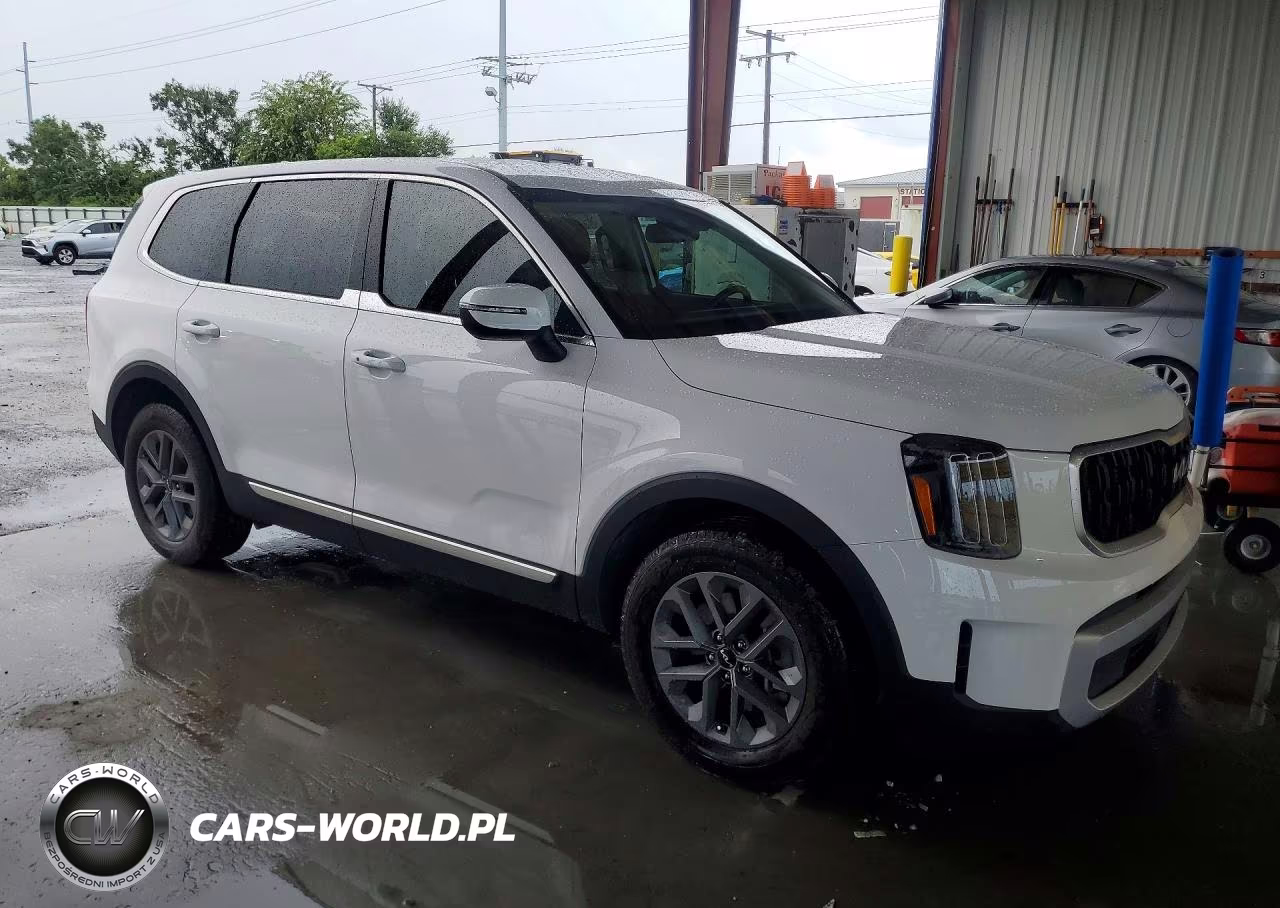 KIA TELLURIDE VIN:5XYP2DGC0RG461190 - 4