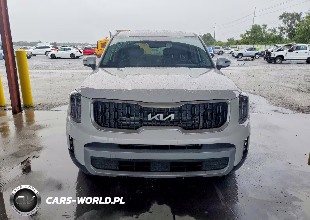 KIA TELLURIDE VIN:5XYP2DGC0RG461190 - 5