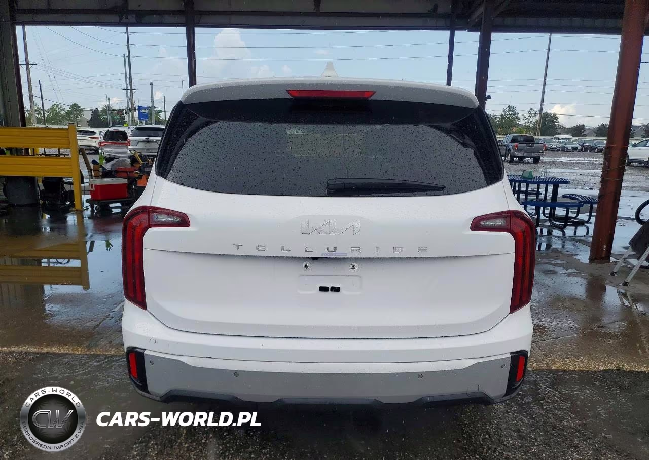 KIA TELLURIDE VIN:5XYP2DGC0RG461190 - 6