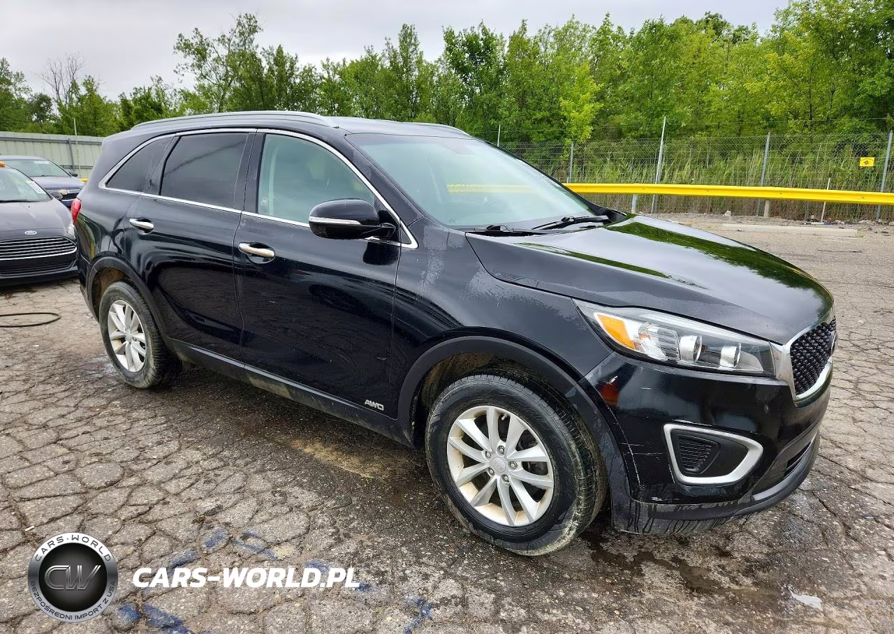 2017 Kia Sorento Lx VIN:5XYPGDA34HG264595 - 4