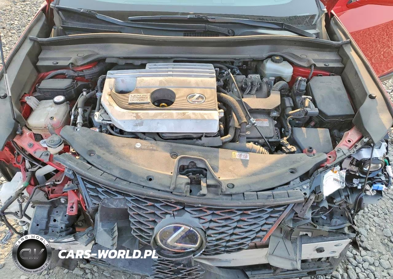 2019 Lexus Ux 250H VIN:JTHU9JBH2K2010972 - 12