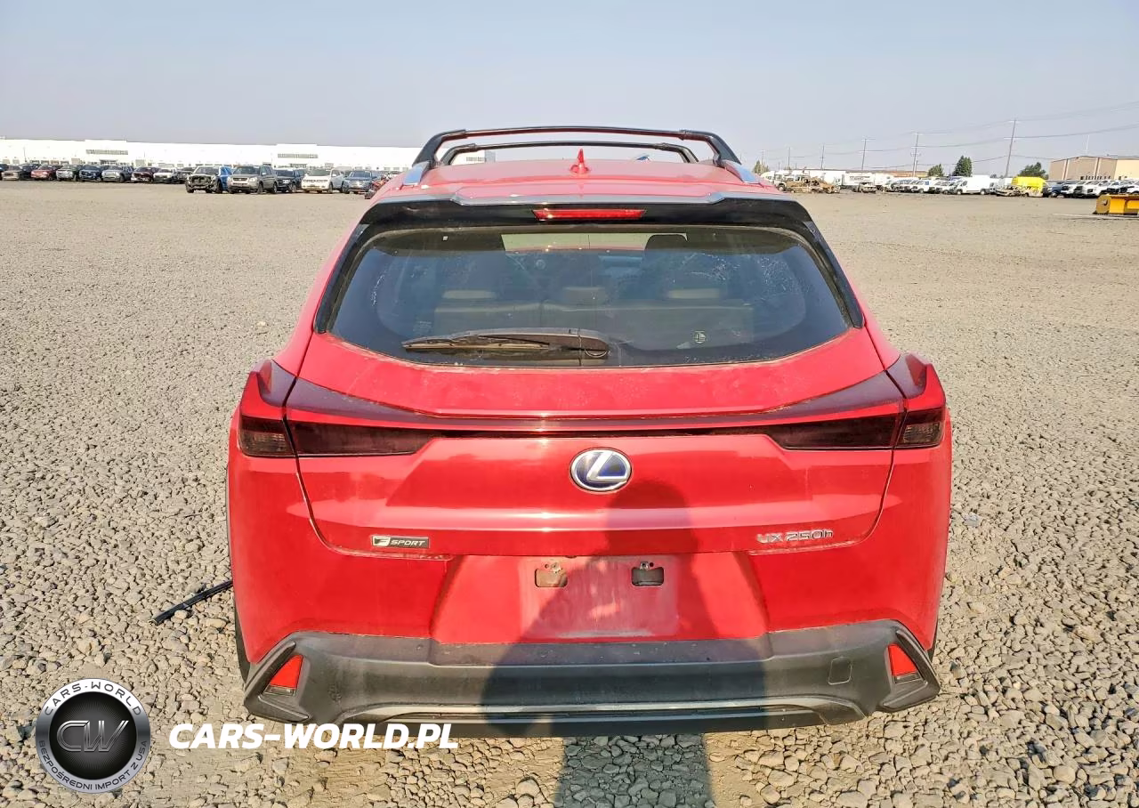 2019 Lexus Ux 250H VIN:JTHU9JBH2K2010972 - 6
