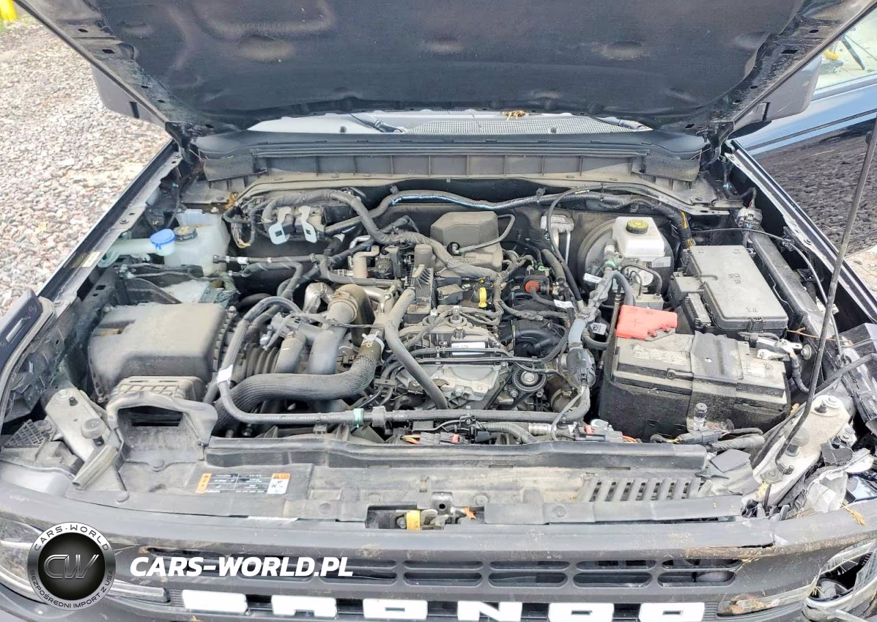 2023 Ford Bronco Base VIN:1FMEE5DH3PLB83306 - 12