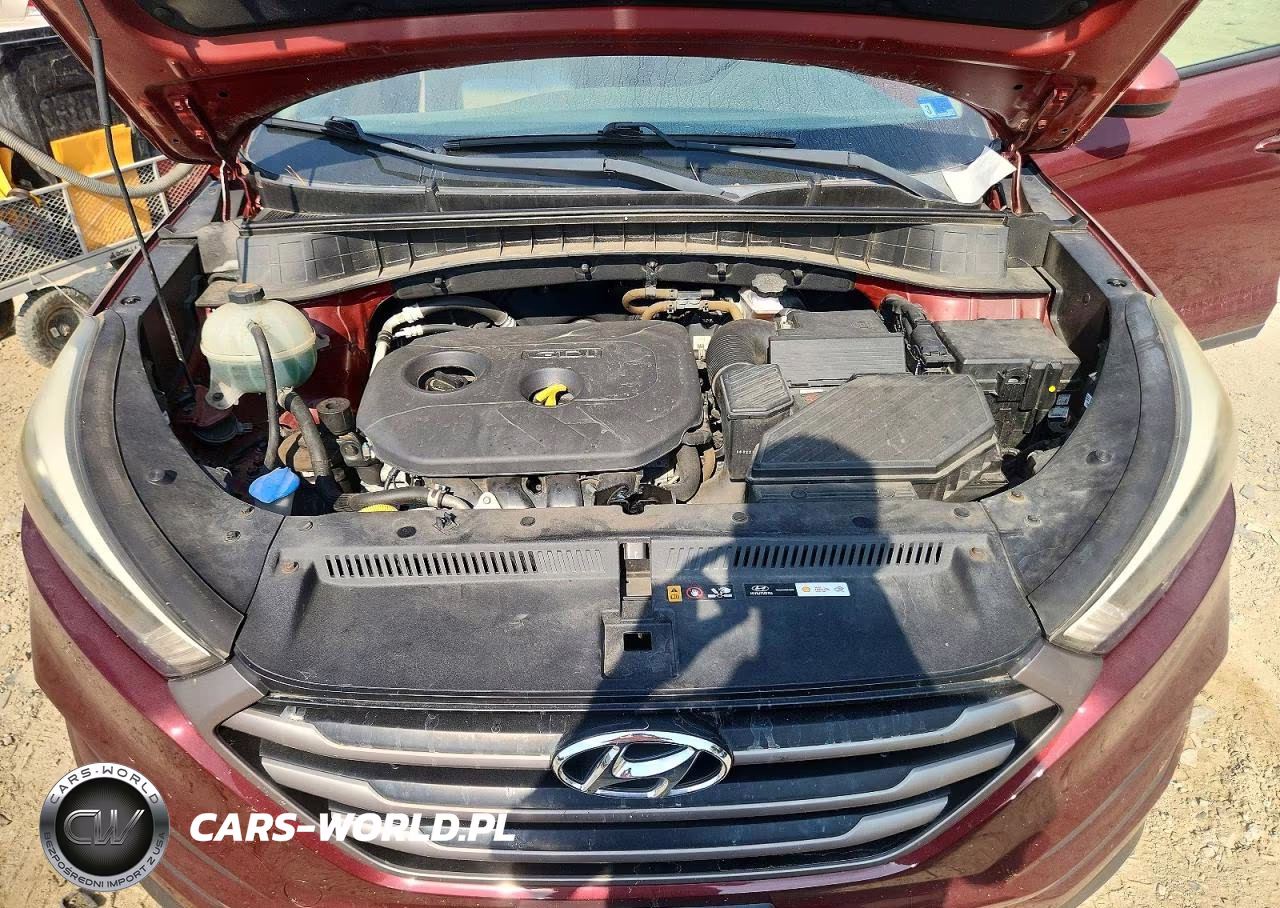 2016 Hyundai Tucson Se VIN:KM8J33A48GU201562 - 12
