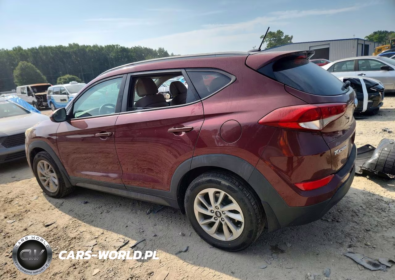 2016 Hyundai Tucson Se VIN:KM8J33A48GU201562 - 2