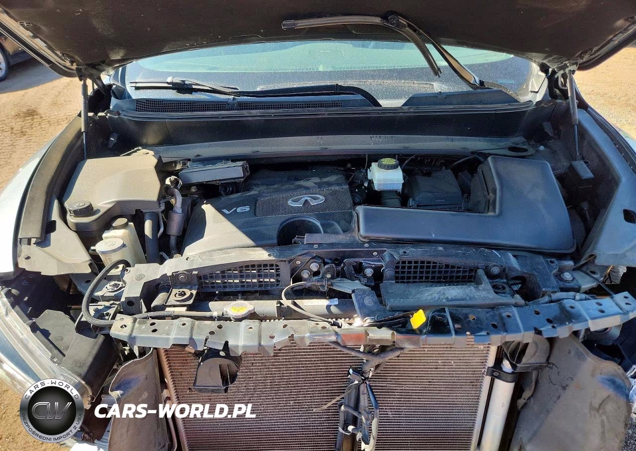 2019 Infiniti Qx60 Luxe VIN:5N1DL0MM4KC528238 - 11