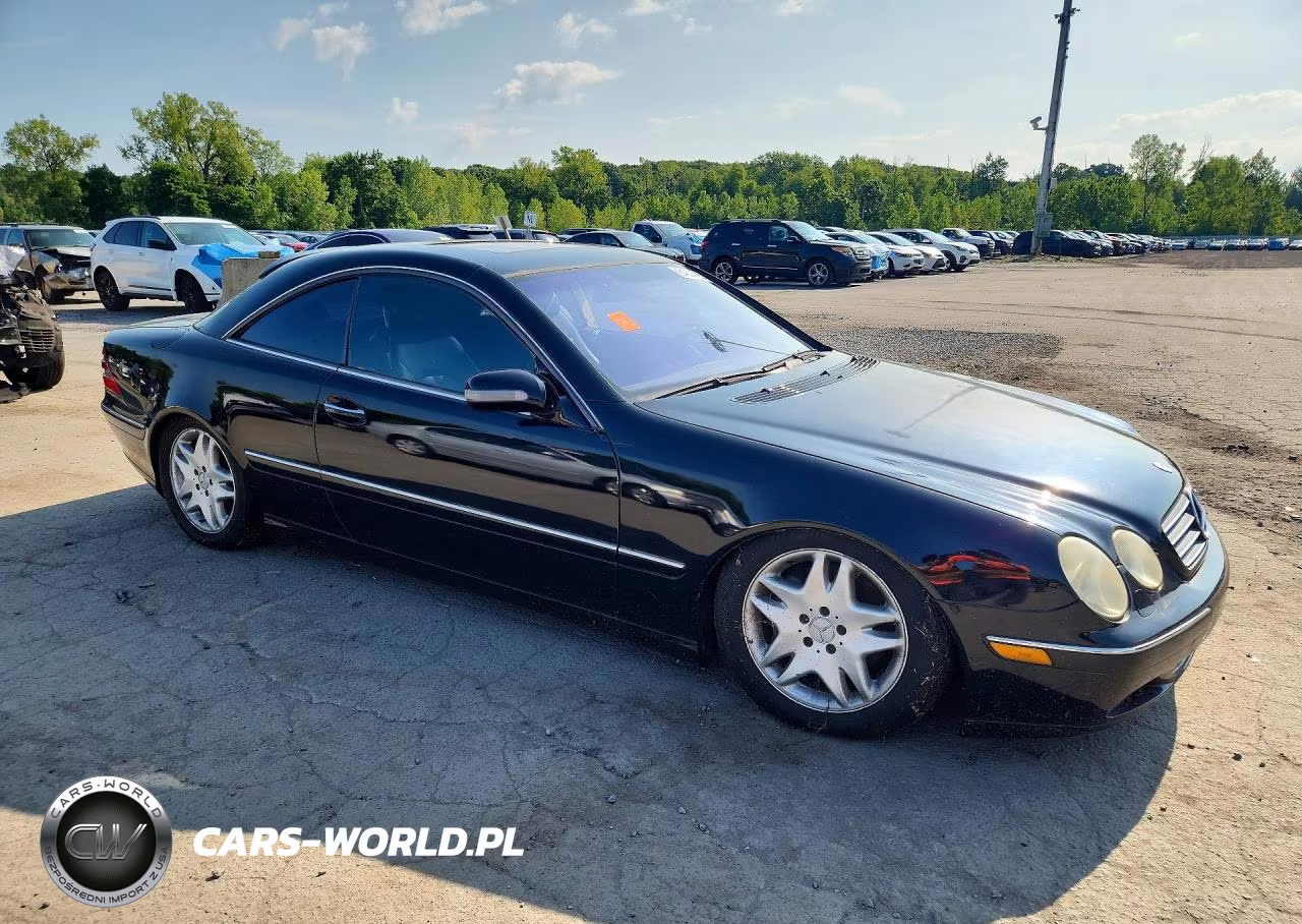 2002 Mercedes-Benz Cl 500 VIN:WDBPJ75J22A028786 - 4