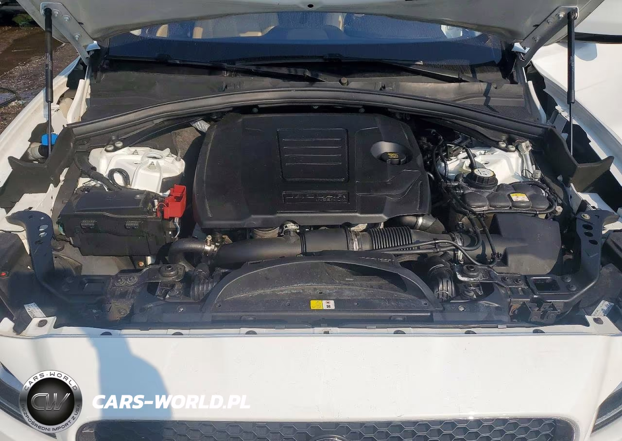 2019 Jaguar F-Pace Prestige VIN:SADCK2GX4KA351923 - 12