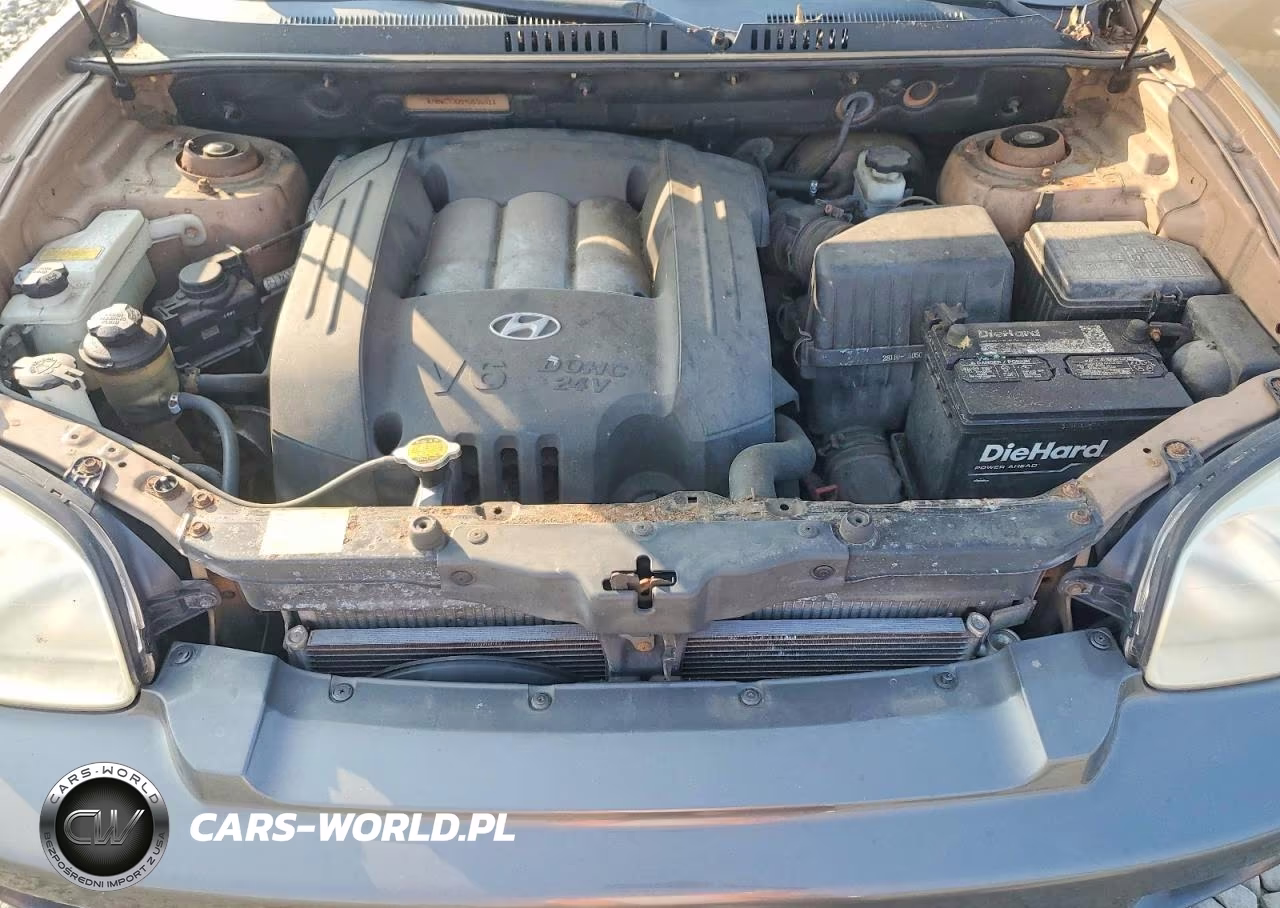 2004 Hyundai Santa Fe Gls VIN:KM8SC73D94U696911 - 12