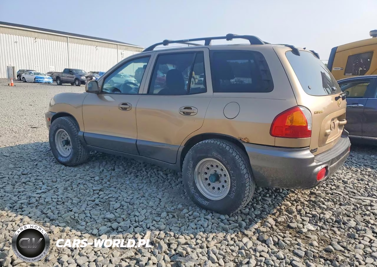 2004 Hyundai Santa Fe Gls VIN:KM8SC73D94U696911 - 2
