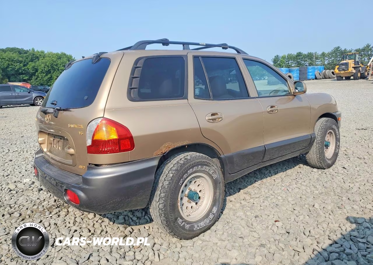 2004 Hyundai Santa Fe Gls VIN:KM8SC73D94U696911 - 3