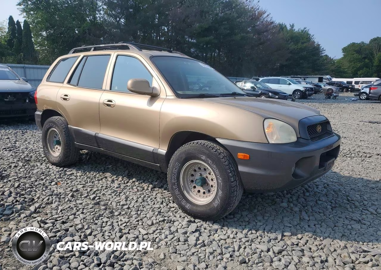 2004 Hyundai Santa Fe Gls VIN:KM8SC73D94U696911 - 4
