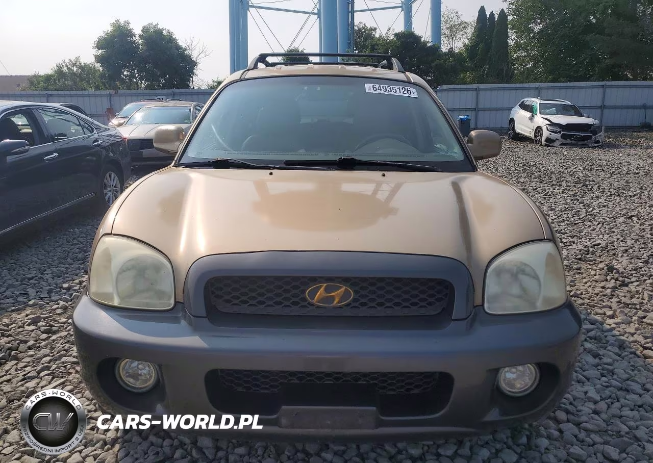 2004 Hyundai Santa Fe Gls VIN:KM8SC73D94U696911 - 5
