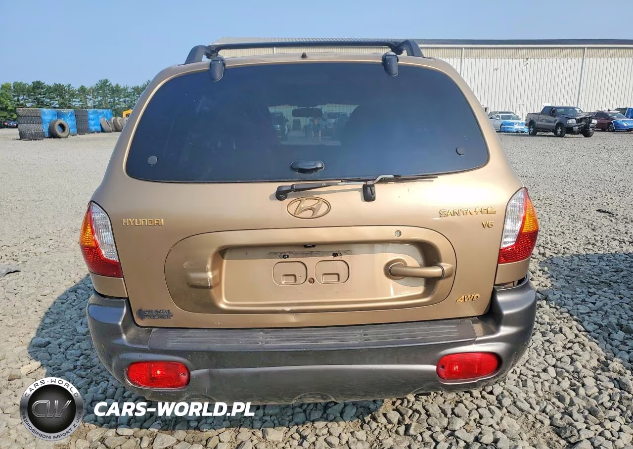 2004 Hyundai Santa Fe Gls VIN:KM8SC73D94U696911 - 6