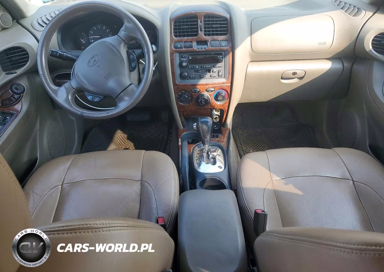 2004 Hyundai Santa Fe Gls VIN:KM8SC73D94U696911 - 8