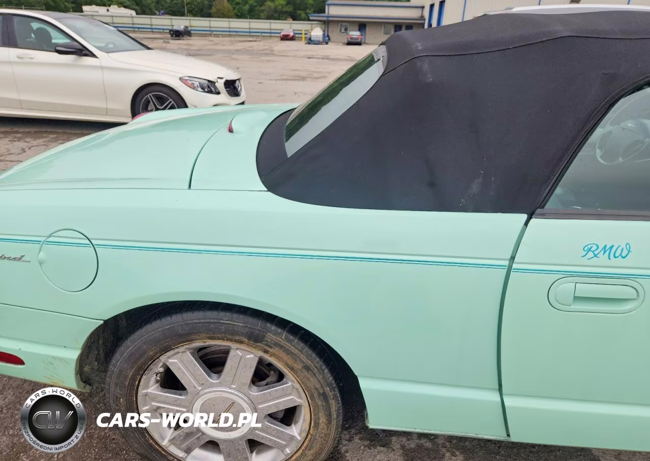 2004 Ford Thunderbird VIN:1FAHP60A94Y100833 - 10