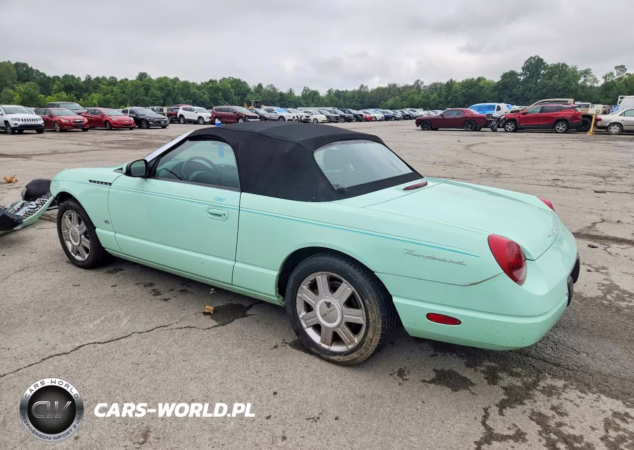 2004 Ford Thunderbird VIN:1FAHP60A94Y100833 - 2