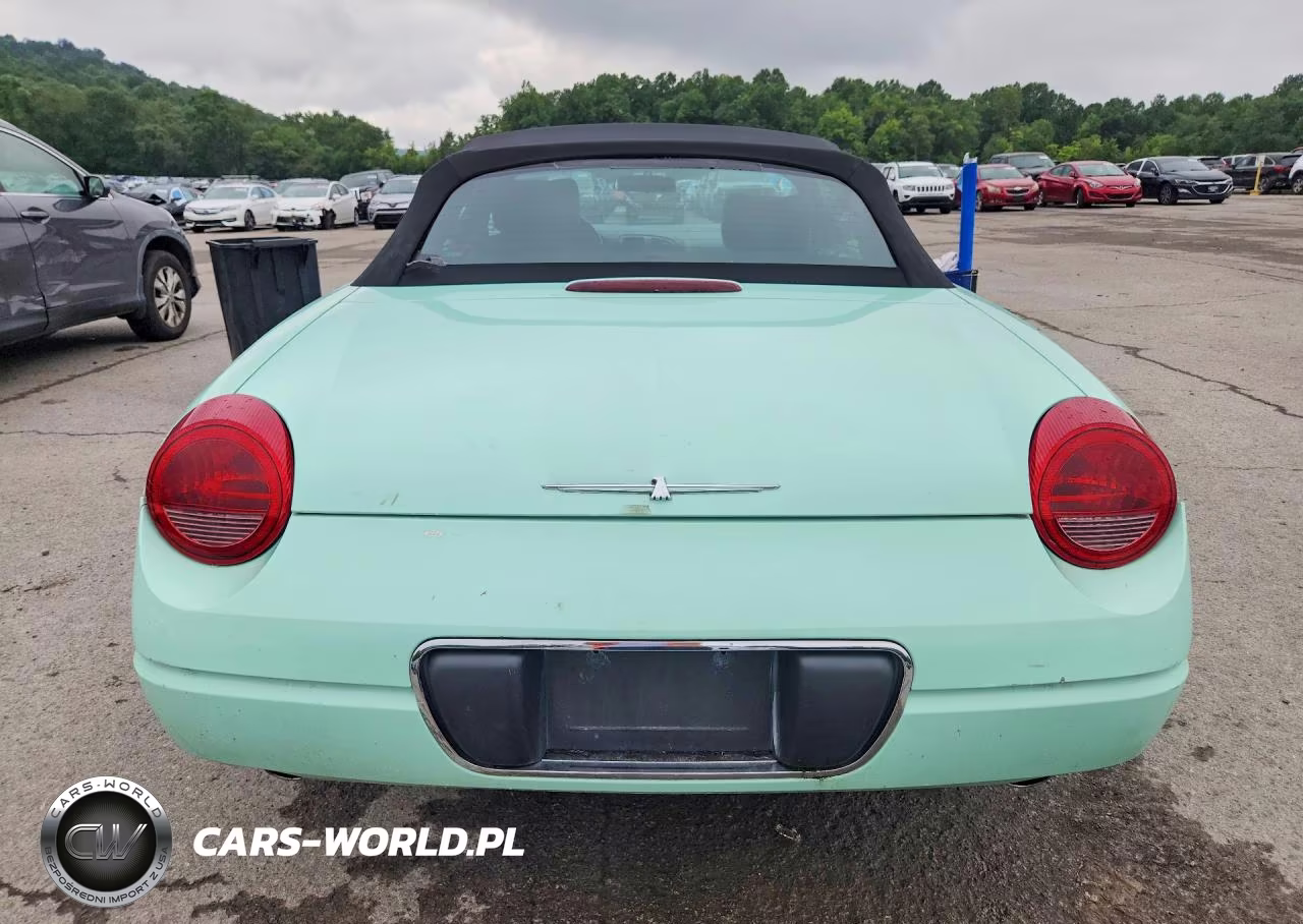 2004 Ford Thunderbird VIN:1FAHP60A94Y100833 - 6