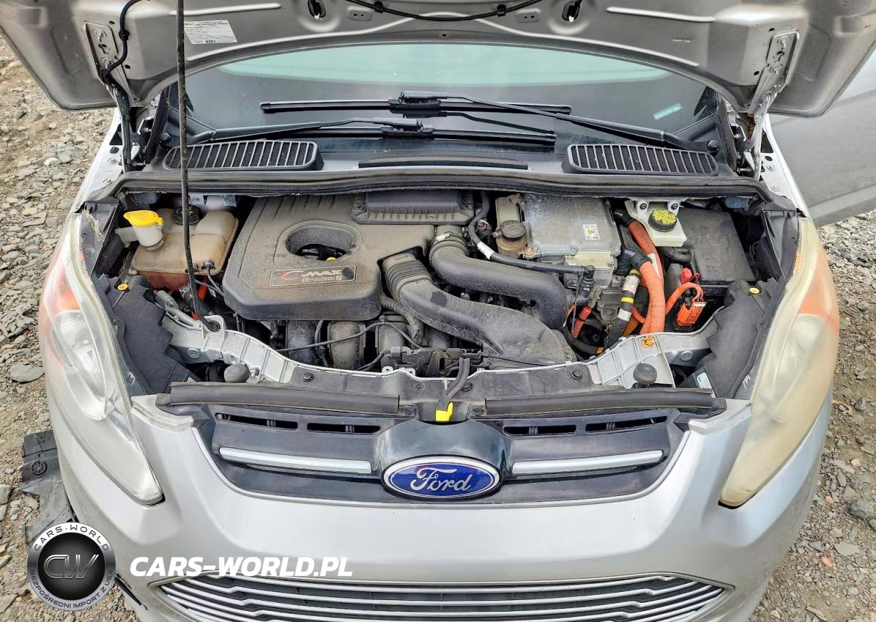 2016 Ford C-Max Energi Sel VIN:1FADP5CU7GL114861 - 11